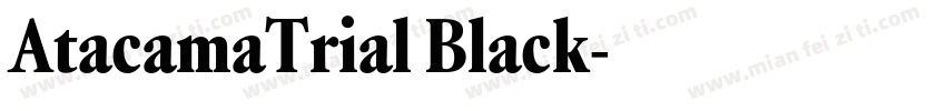 AtacamaTrial Black字体转换
